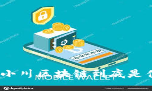 : 王小川区块链到底是什么？