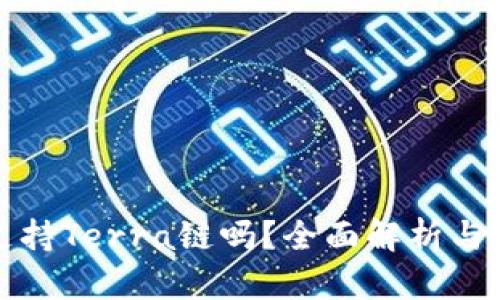 TP钱包支持Terra链吗？全面解析与使用指南