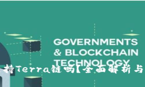 TP钱包支持Terra链吗？全面解析与使用指南