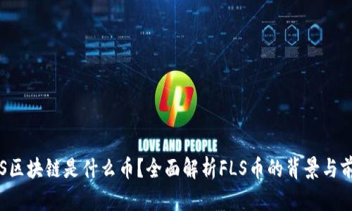 FLS区块链是什么币？全面解析FLS币的背景与前景