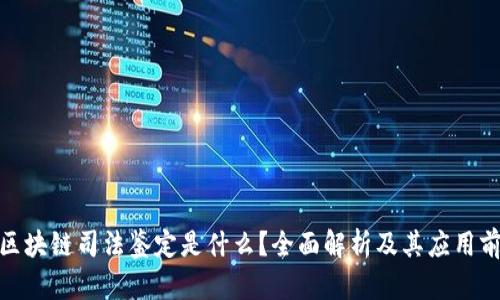 : 区块链司法鉴定是什么？全面解析及其应用前景