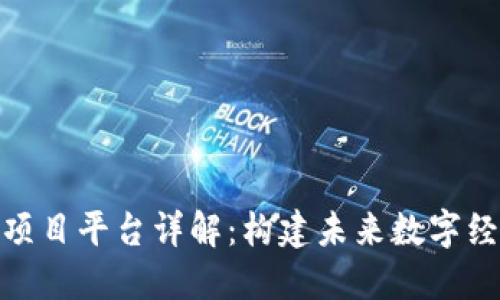 : 区块链项目平台详解：构建未来数字经济的基石