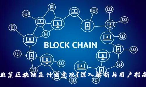 韭菜区块链是什么意思？深入解析与用户指南
