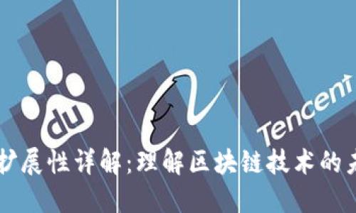 区块链扩展性详解：理解区块链技术的未来潜力