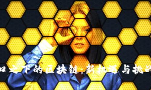 : 风口之下的区块链：新机遇与挑战解析