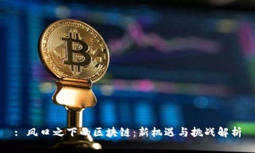 : 风口之下的区块链：新机遇与挑战解析